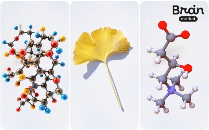 Návrh bez názvu (7)